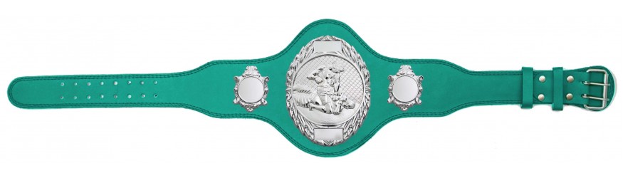 MMA CHAMPIONSHIP BELT-PLT286/S/MMAS-4 COLOURS MMA CHAMPIONSHIP BELT-PLT286/S/MMAS-4 COLOURS